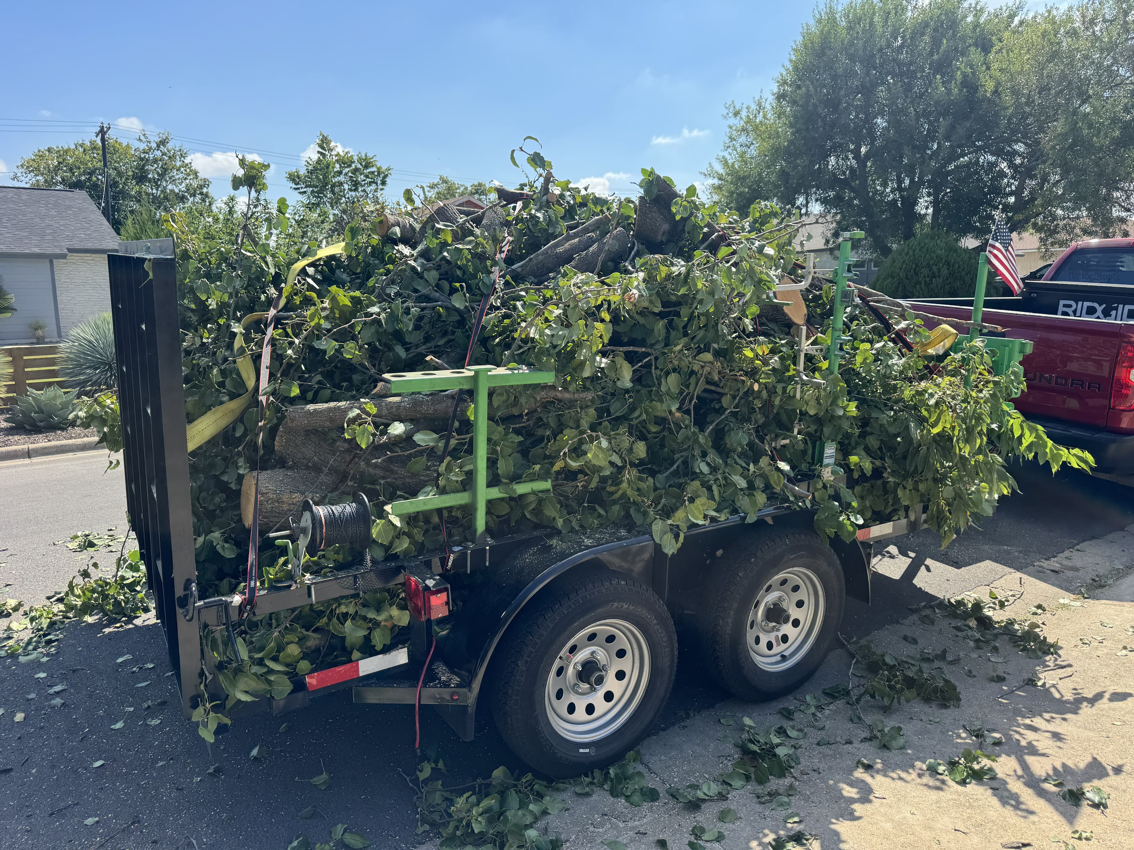Black trailer filled with green leafy branches and logs, hitched to a red pickup truck.