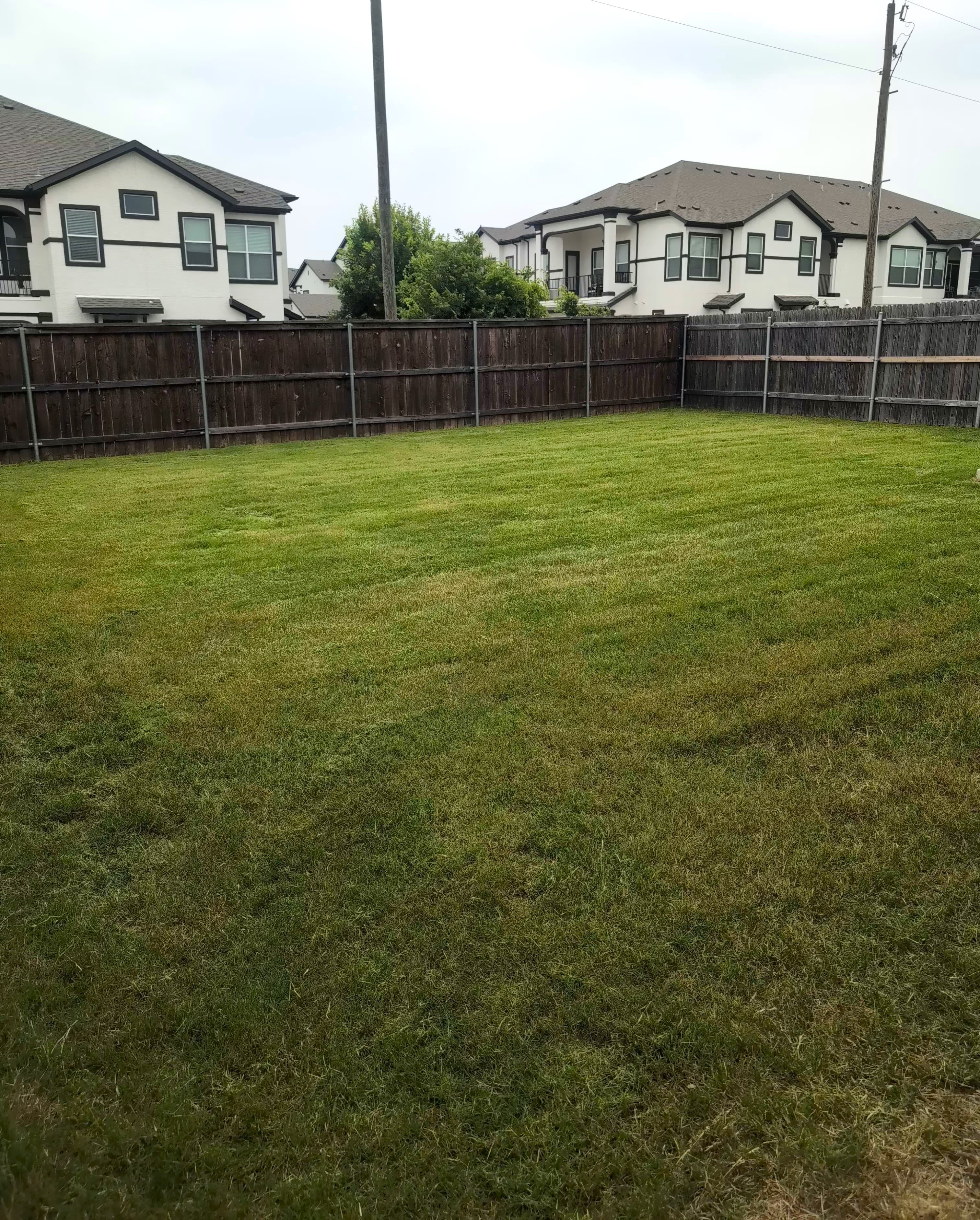 Large green backyard lawn enclosed by a dark wooden fence with modern houses in the background.